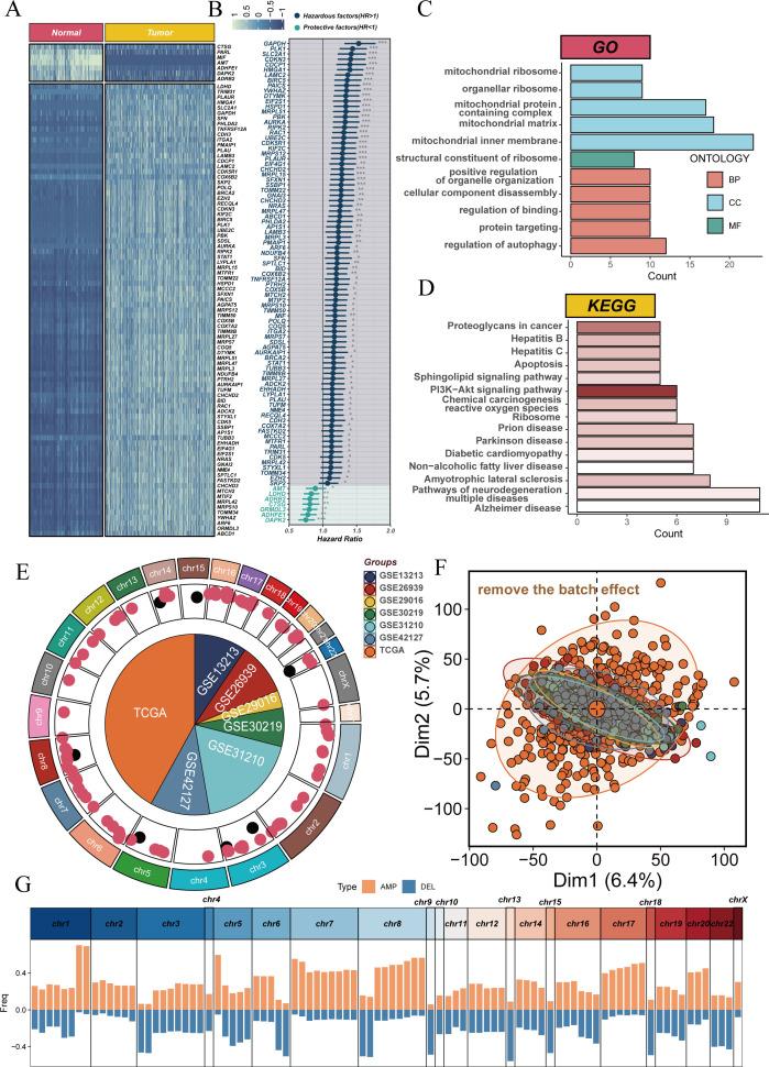 https://cdn.ncbi.nlm.nih.gov/pmc/blobs/dd11/11529751/090550245640/jitc-12-10-g002.jpg