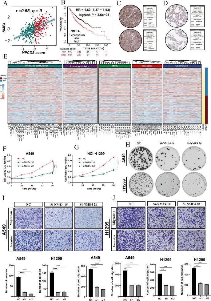 https://cdn.ncbi.nlm.nih.gov/pmc/blobs/dd11/11529751/6d083f13dadf/jitc-12-10-g007.jpg