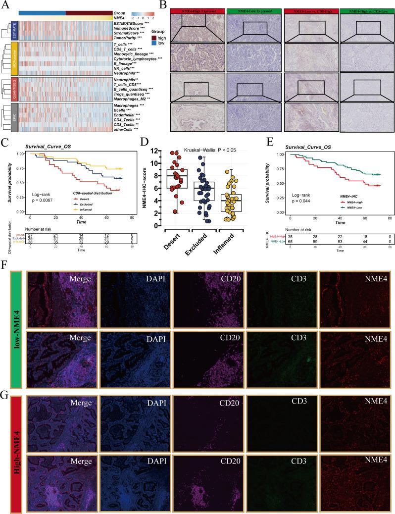 https://cdn.ncbi.nlm.nih.gov/pmc/blobs/dd11/11529751/7972c249f910/jitc-12-10-g008.jpg