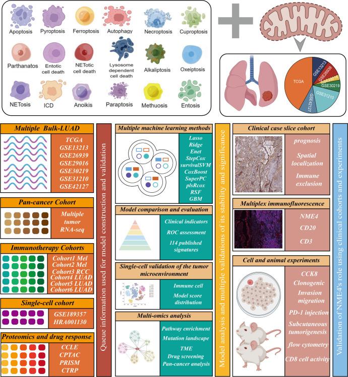https://cdn.ncbi.nlm.nih.gov/pmc/blobs/dd11/11529751/a7ae0598ff53/jitc-12-10-g001.jpg
