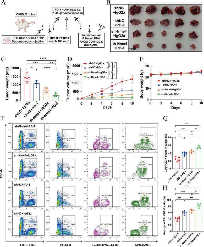 https://cdn.ncbi.nlm.nih.gov/pmc/blobs/dd11/11529751/a7d8645a1d4e/jitc-12-10-g009.jpg