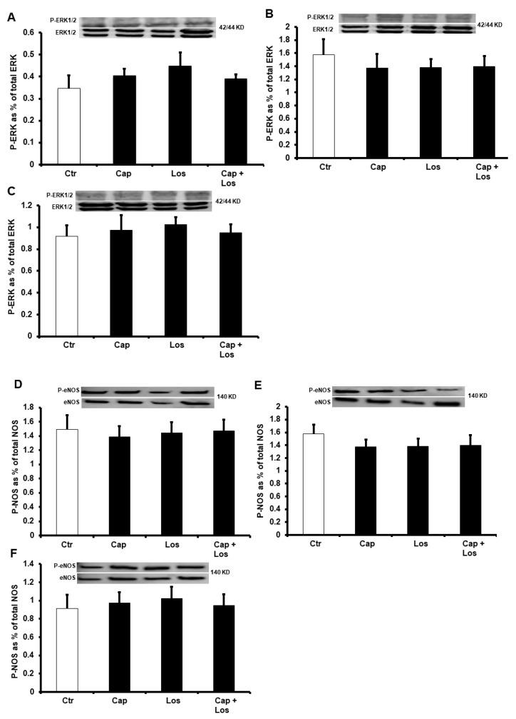 https://cdn.ncbi.nlm.nih.gov/pmc/blobs/dd11/9967344/32c387d67083/pharmaceuticals-16-00238-g004.jpg