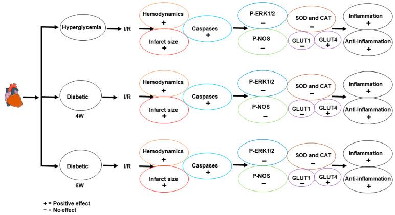 https://cdn.ncbi.nlm.nih.gov/pmc/blobs/dd11/9967344/33929f5b2c22/pharmaceuticals-16-00238-g008.jpg