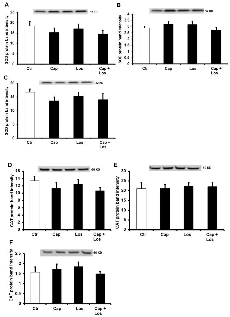 https://cdn.ncbi.nlm.nih.gov/pmc/blobs/dd11/9967344/417023708ae8/pharmaceuticals-16-00238-g005.jpg