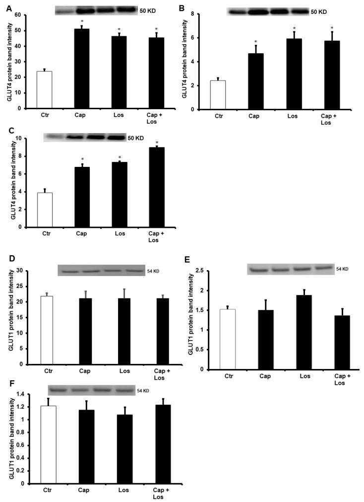 https://cdn.ncbi.nlm.nih.gov/pmc/blobs/dd11/9967344/567edf56c53f/pharmaceuticals-16-00238-g006.jpg