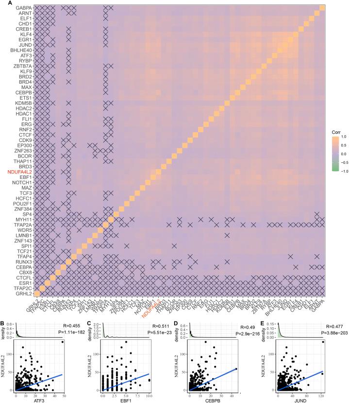 https://cdn.ncbi.nlm.nih.gov/pmc/blobs/dd13/10950590/9f31670fd28d/gr5.jpg