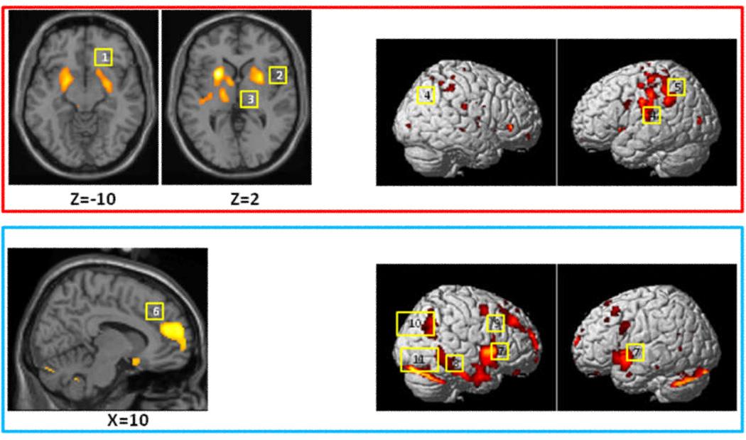 https://cdn.ncbi.nlm.nih.gov/pmc/blobs/dd13/2784027/218810f2087d/nihms137923f3.jpg