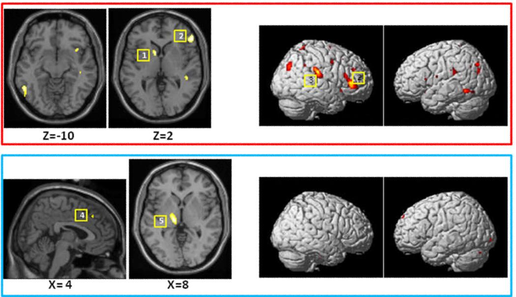 https://cdn.ncbi.nlm.nih.gov/pmc/blobs/dd13/2784027/56af26634fd6/nihms137923f2.jpg