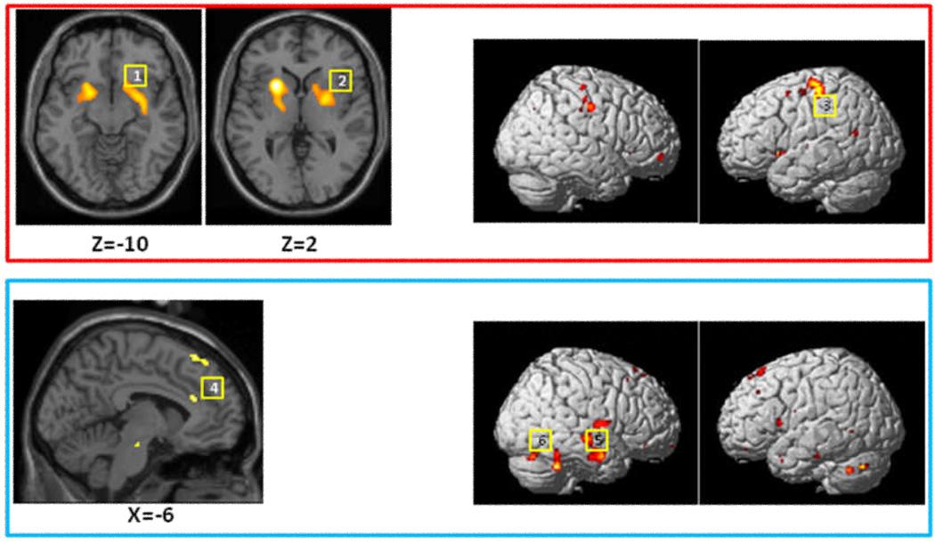 https://cdn.ncbi.nlm.nih.gov/pmc/blobs/dd13/2784027/8a127f7fd480/nihms137923f1.jpg