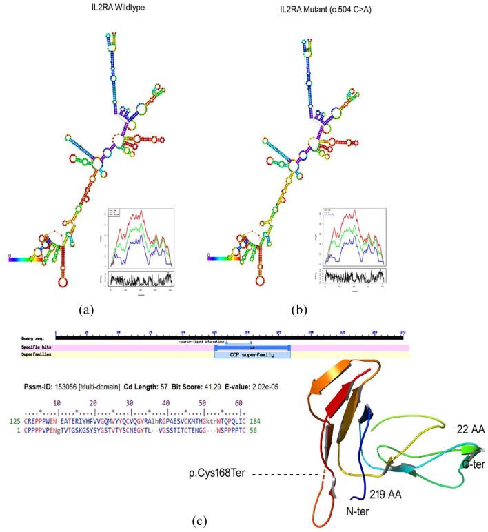 https://cdn.ncbi.nlm.nih.gov/pmc/blobs/dd13/9373126/4c7440fa4281/10.1177_20406223221116798-fig4.jpg