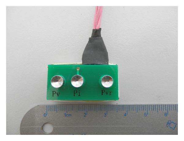 https://cdn.ncbi.nlm.nih.gov/pmc/blobs/dd16/4020393/a63297208a62/ECAM2014-836026.002.jpg