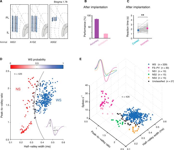https://cdn.ncbi.nlm.nih.gov/pmc/blobs/dd16/4715187/d16a38ae9125/figs2.jpg