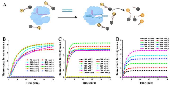 https://cdn.ncbi.nlm.nih.gov/pmc/blobs/dd1c/10295930/23ed8e963c21/biosensors-13-00659-g002.jpg