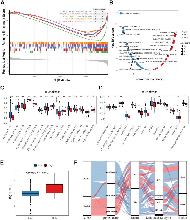 https://cdn.ncbi.nlm.nih.gov/pmc/blobs/dd1c/10870925/05764a209a08/peerj-12-16911-g006.jpg