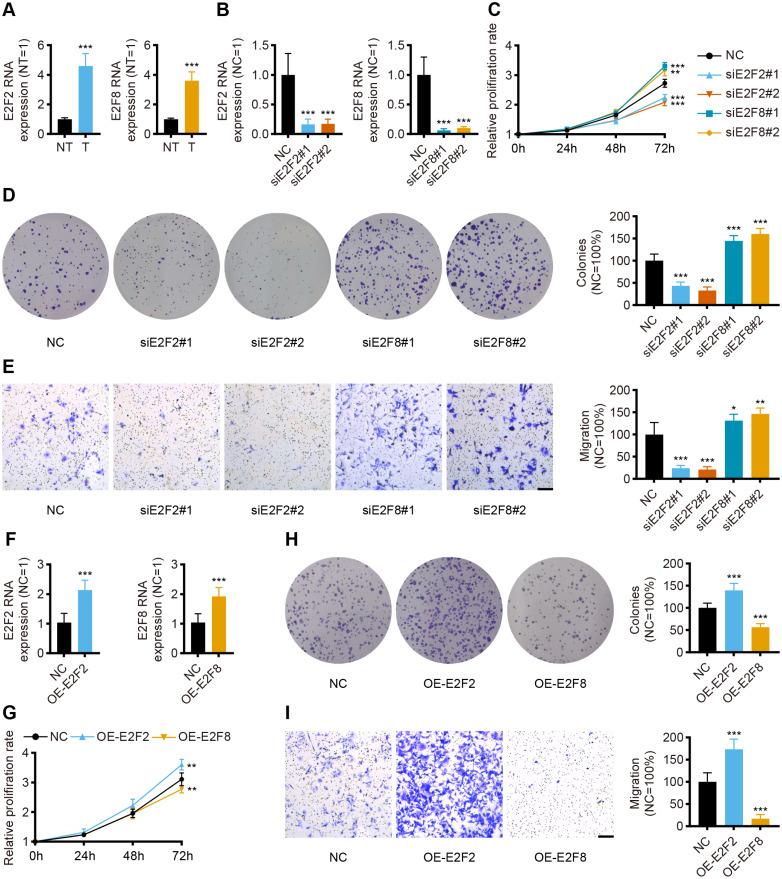 https://cdn.ncbi.nlm.nih.gov/pmc/blobs/dd1c/10870925/25cd20c8df59/peerj-12-16911-g008.jpg