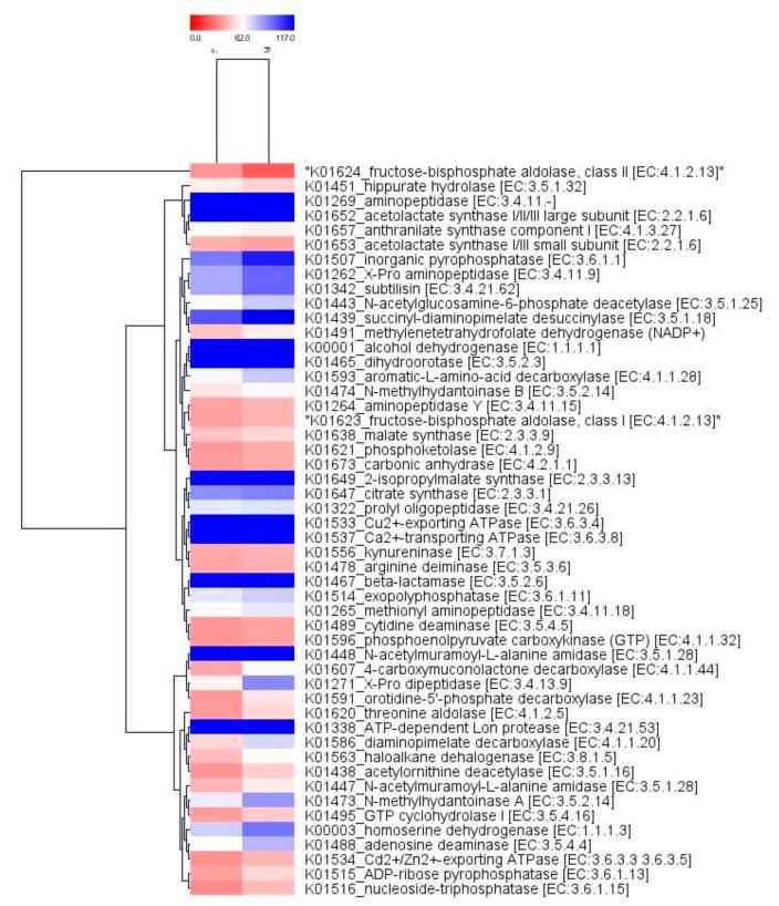 https://cdn.ncbi.nlm.nih.gov/pmc/blobs/dd1c/7727700/3fb18b1dd3ce/ijms-21-08895-g005.jpg
