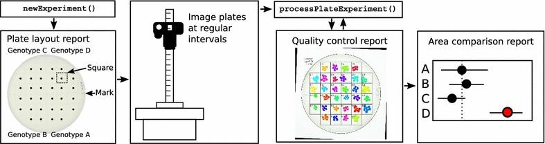 https://cdn.ncbi.nlm.nih.gov/pmc/blobs/dd1d/5353781/f27d3685d3a7/13007_2017_163_Fig1_HTML.jpg