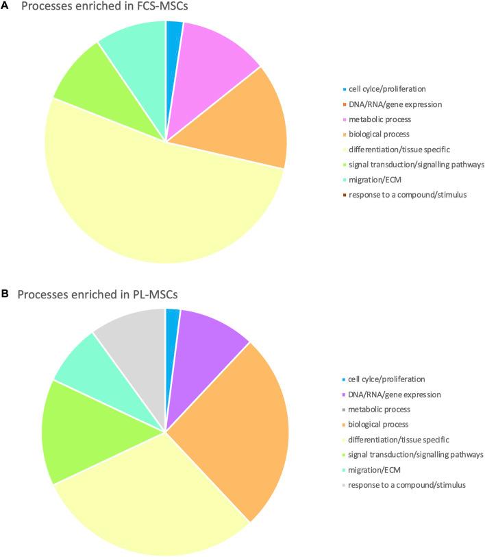 https://cdn.ncbi.nlm.nih.gov/pmc/blobs/dd1d/9621119/afc196daed74/fbioe-10-1008271-g003.jpg