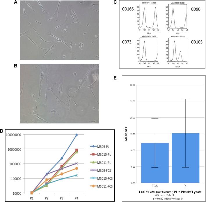 https://cdn.ncbi.nlm.nih.gov/pmc/blobs/dd1d/9621119/dd378ae8c006/fbioe-10-1008271-g001.jpg