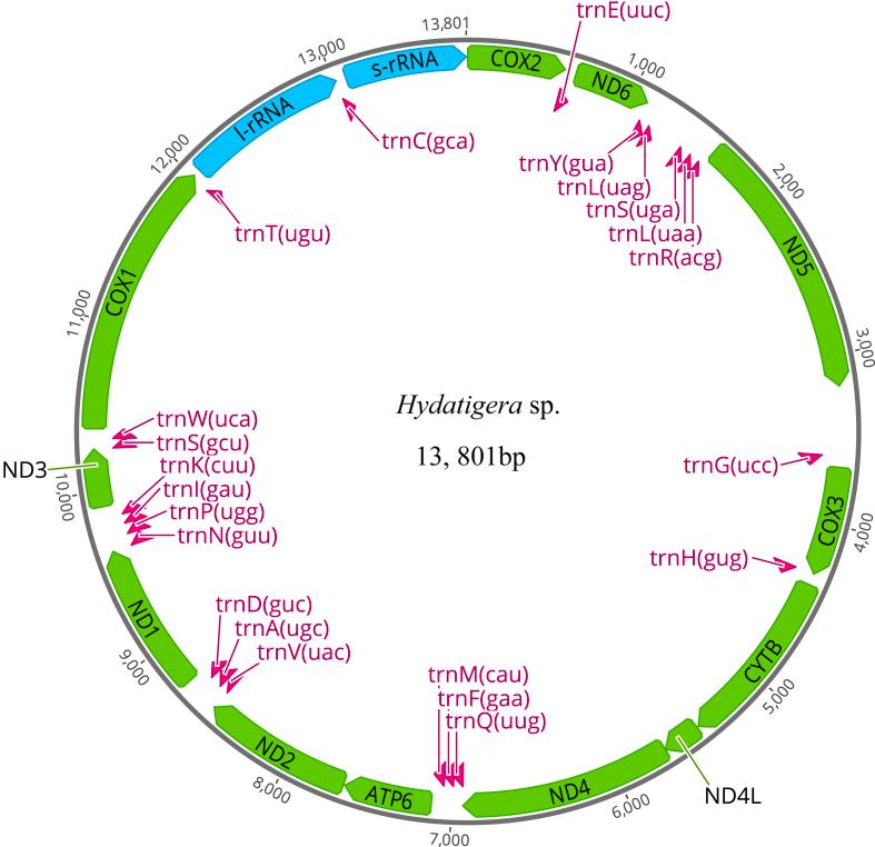 https://cdn.ncbi.nlm.nih.gov/pmc/blobs/dd1e/12345000/6656f0fef971/gr3.jpg