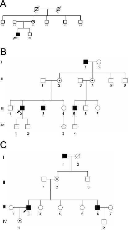 https://cdn.ncbi.nlm.nih.gov/pmc/blobs/dd1f/3283217/2e798a6a823e/mv-v18-309-f1.jpg