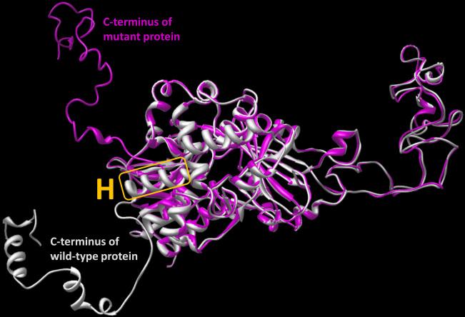 https://cdn.ncbi.nlm.nih.gov/pmc/blobs/dd1f/3283217/506ab70d8f55/mv-v18-309-f5.jpg