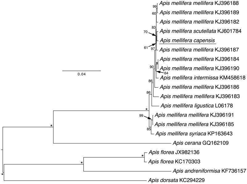 https://cdn.ncbi.nlm.nih.gov/pmc/blobs/dd1f/7800515/d705a4a2db5e/TMDN_A_1241682_F0001_B.jpg