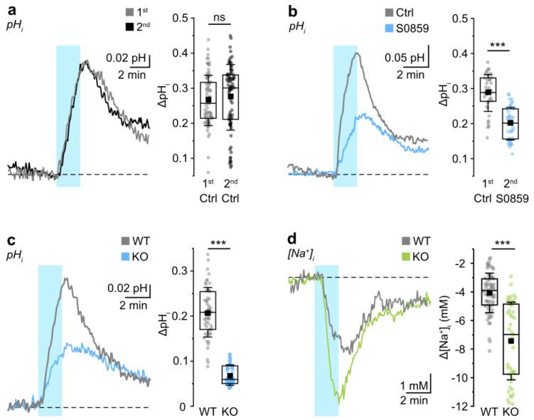 https://cdn.ncbi.nlm.nih.gov/pmc/blobs/dd21/10705779/e6d012a7e17e/cells-12-02675-g001.jpg