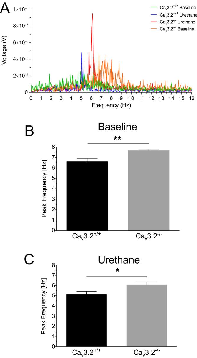 https://cdn.ncbi.nlm.nih.gov/pmc/blobs/dd21/7806756/95c21a16e9ea/41598_2020_79763_Fig9_HTML.jpg