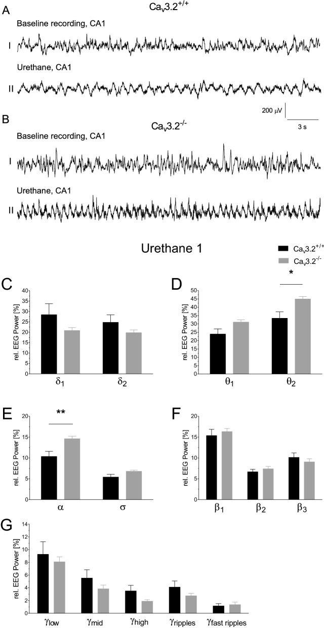 https://cdn.ncbi.nlm.nih.gov/pmc/blobs/dd21/7806756/d2546bcbd71a/41598_2020_79763_Fig8_HTML.jpg