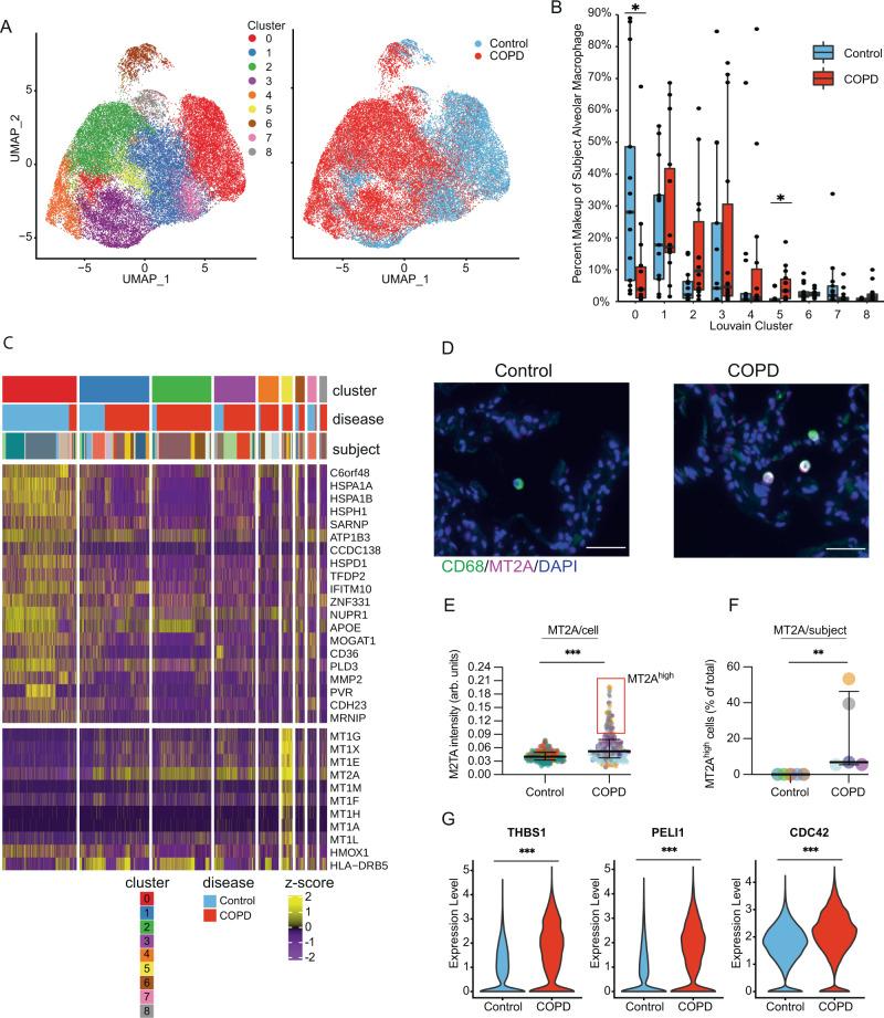 https://cdn.ncbi.nlm.nih.gov/pmc/blobs/dd24/8789871/1eb76dbdb788/41467_2022_28062_Fig6_HTML.jpg
