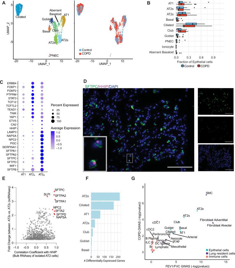 https://cdn.ncbi.nlm.nih.gov/pmc/blobs/dd24/8789871/2ee448f0131d/41467_2022_28062_Fig2_HTML.jpg