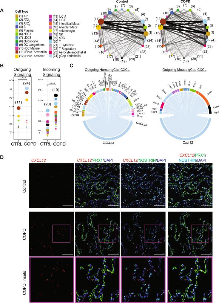 https://cdn.ncbi.nlm.nih.gov/pmc/blobs/dd24/8789871/365a7f41f3fa/41467_2022_28062_Fig5_HTML.jpg