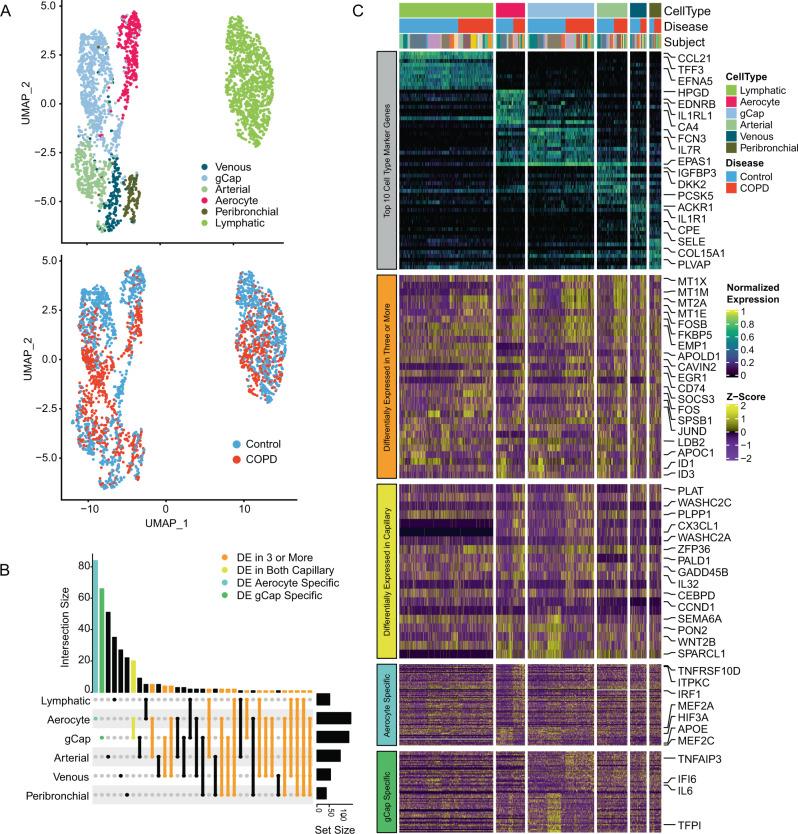 https://cdn.ncbi.nlm.nih.gov/pmc/blobs/dd24/8789871/412664245d85/41467_2022_28062_Fig4_HTML.jpg