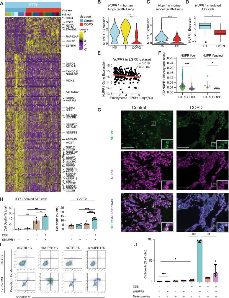 https://cdn.ncbi.nlm.nih.gov/pmc/blobs/dd24/8789871/b0945baa2f9b/41467_2022_28062_Fig3_HTML.jpg