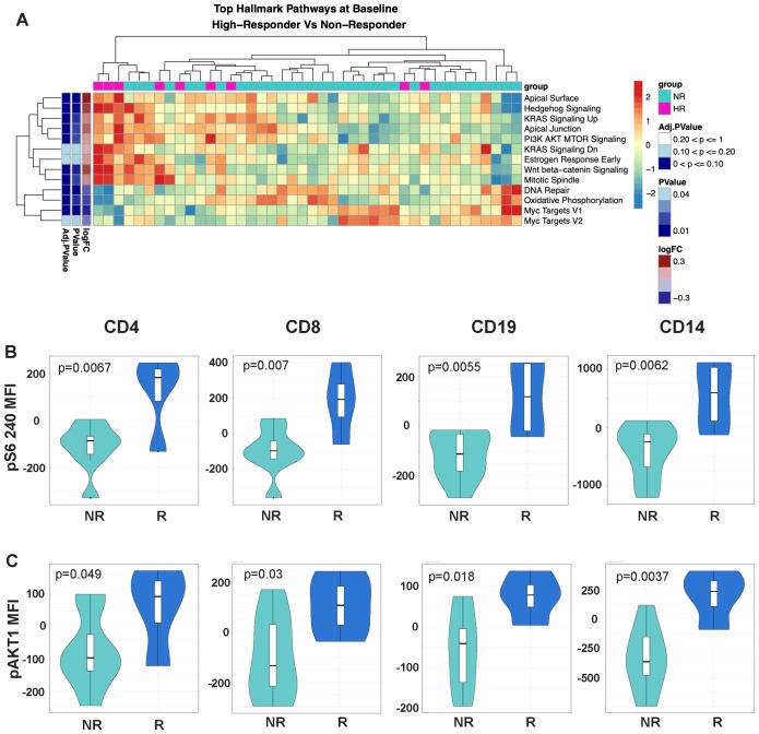 https://cdn.ncbi.nlm.nih.gov/pmc/blobs/dd25/11499122/323a8e8ad928/fimmu-15-1437391-g003.jpg