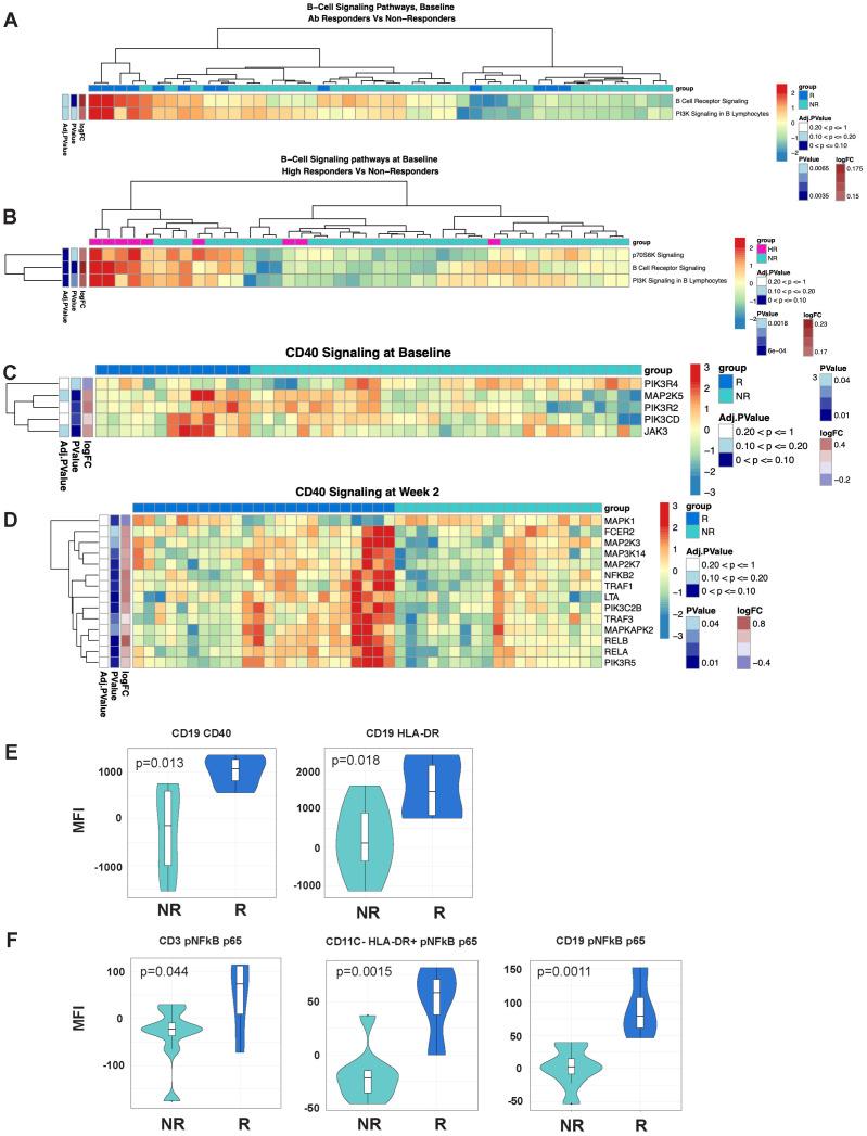 https://cdn.ncbi.nlm.nih.gov/pmc/blobs/dd25/11499122/f8e321f861b2/fimmu-15-1437391-g004.jpg