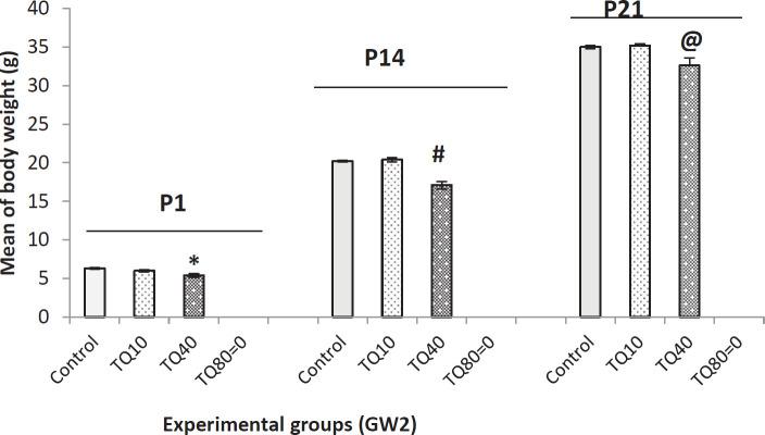 https://cdn.ncbi.nlm.nih.gov/pmc/blobs/dd26/7894635/47a992bf0418/IJBMS-24-030-g004.jpg