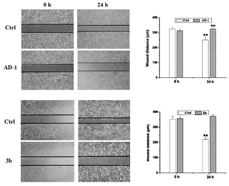 https://cdn.ncbi.nlm.nih.gov/pmc/blobs/dd28/6278399/d255adae7ed9/molecules-23-03021-g003.jpg