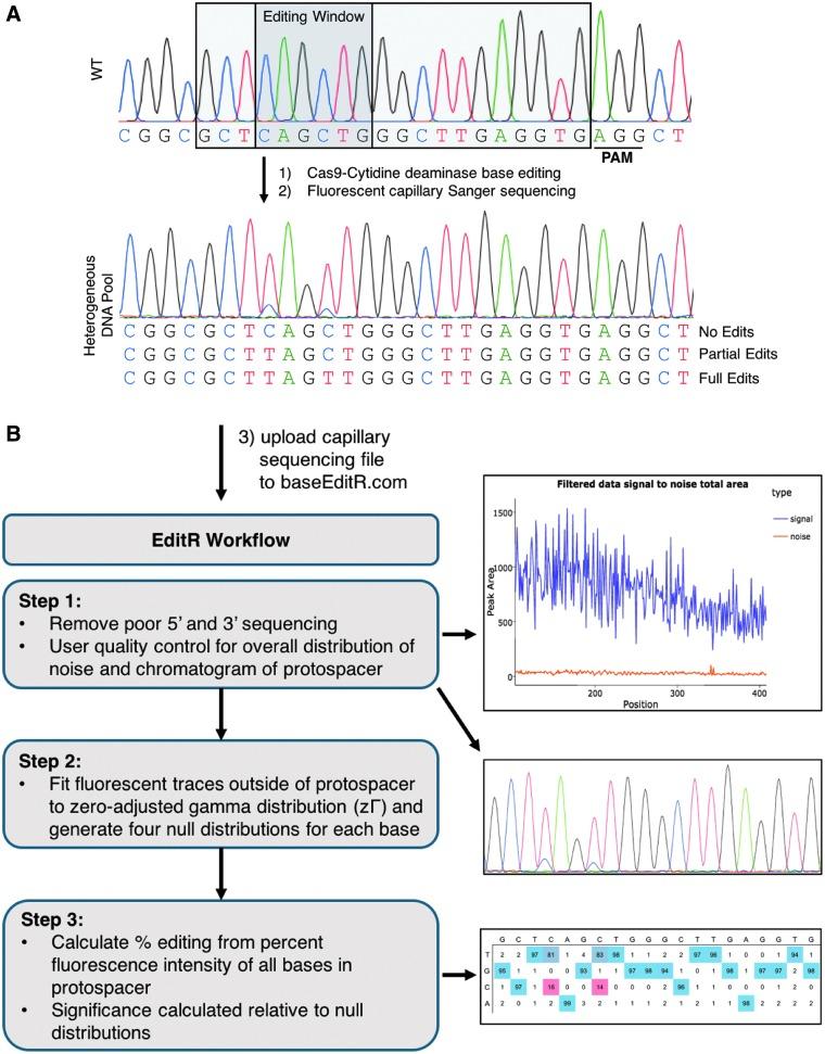 https://cdn.ncbi.nlm.nih.gov/pmc/blobs/dd29/6694769/31da8f2602f9/fig-1.jpg