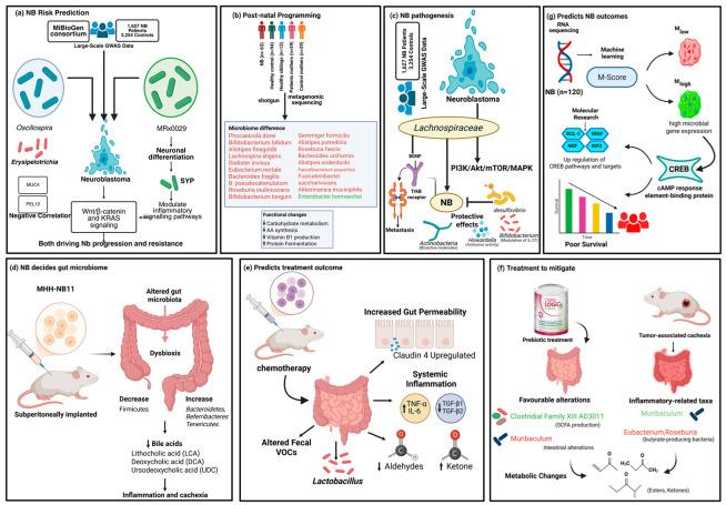 https://cdn.ncbi.nlm.nih.gov/pmc/blobs/dd2a/12346620/81c46e871245/cells-14-01218-g003.jpg