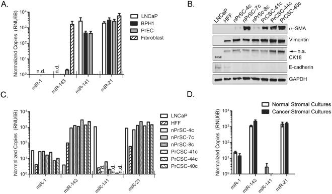 https://cdn.ncbi.nlm.nih.gov/pmc/blobs/dd2b/5940660/6b1cd69dae91/41598_2018_25320_Fig5_HTML.jpg