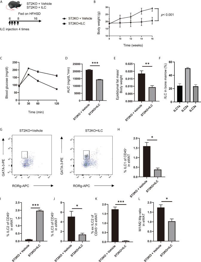 https://cdn.ncbi.nlm.nih.gov/pmc/blobs/dd2c/8300428/85f76c0a09b5/fimmu-12-669629-g005.jpg