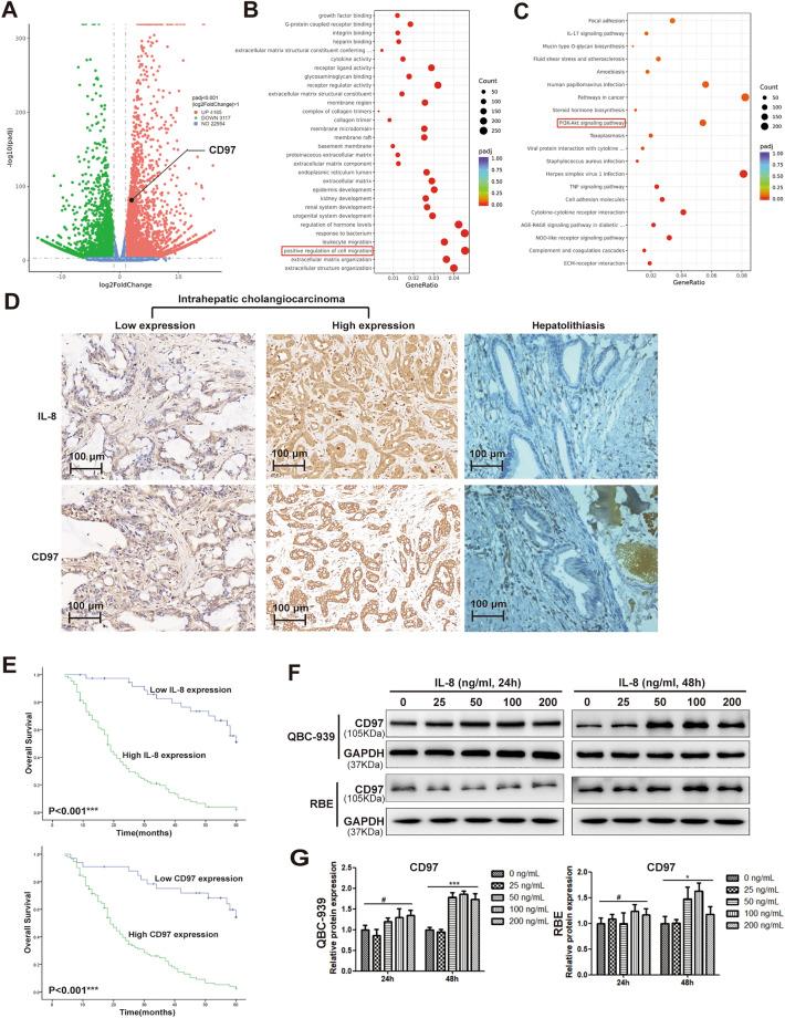 https://cdn.ncbi.nlm.nih.gov/pmc/blobs/dd2d/10618468/2b8ee8098a0b/41598_2023_45496_Fig1_HTML.jpg