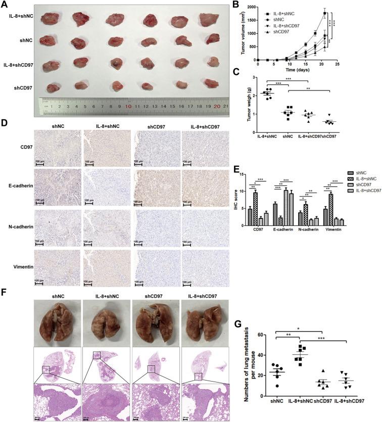 https://cdn.ncbi.nlm.nih.gov/pmc/blobs/dd2d/10618468/4eb041b2417b/41598_2023_45496_Fig5_HTML.jpg