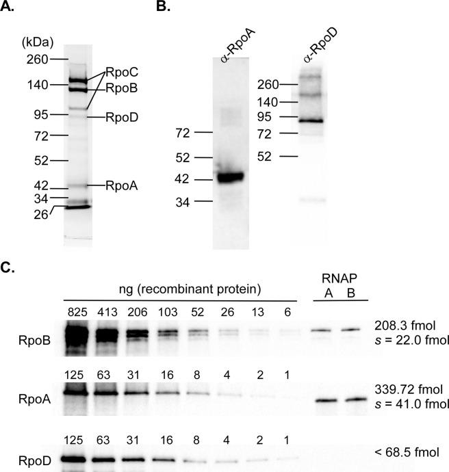 https://cdn.ncbi.nlm.nih.gov/pmc/blobs/dd2e/7237435/182500e119a2/41598_2020_65104_Fig2_HTML.jpg