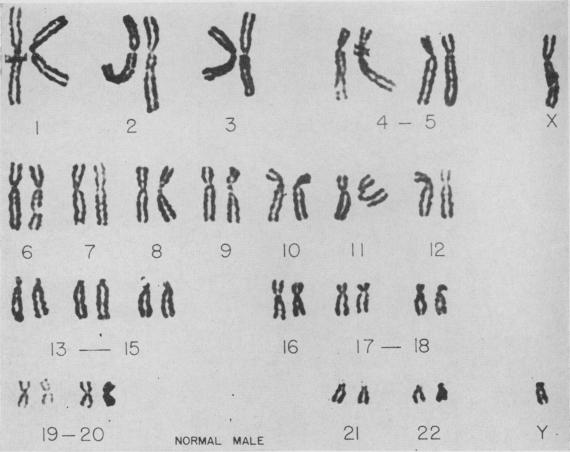 https://cdn.ncbi.nlm.nih.gov/pmc/blobs/dd30/2642322/3588ff66cb87/jnma00686-0019-a.jpg