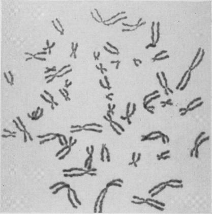https://cdn.ncbi.nlm.nih.gov/pmc/blobs/dd30/2642322/92ded67c4570/jnma00686-0018-b.jpg