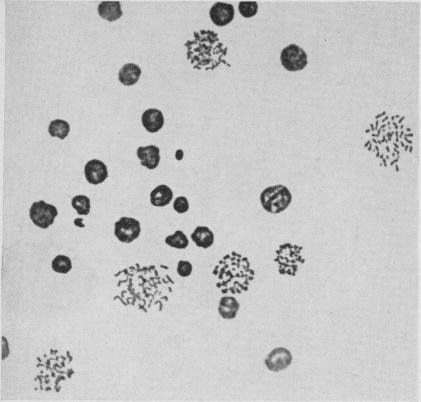 https://cdn.ncbi.nlm.nih.gov/pmc/blobs/dd30/2642322/abe9c07aeb8b/jnma00686-0018-a.jpg