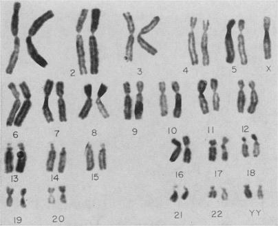 https://cdn.ncbi.nlm.nih.gov/pmc/blobs/dd30/2642322/f66a018a0aa2/jnma00686-0023-b.jpg